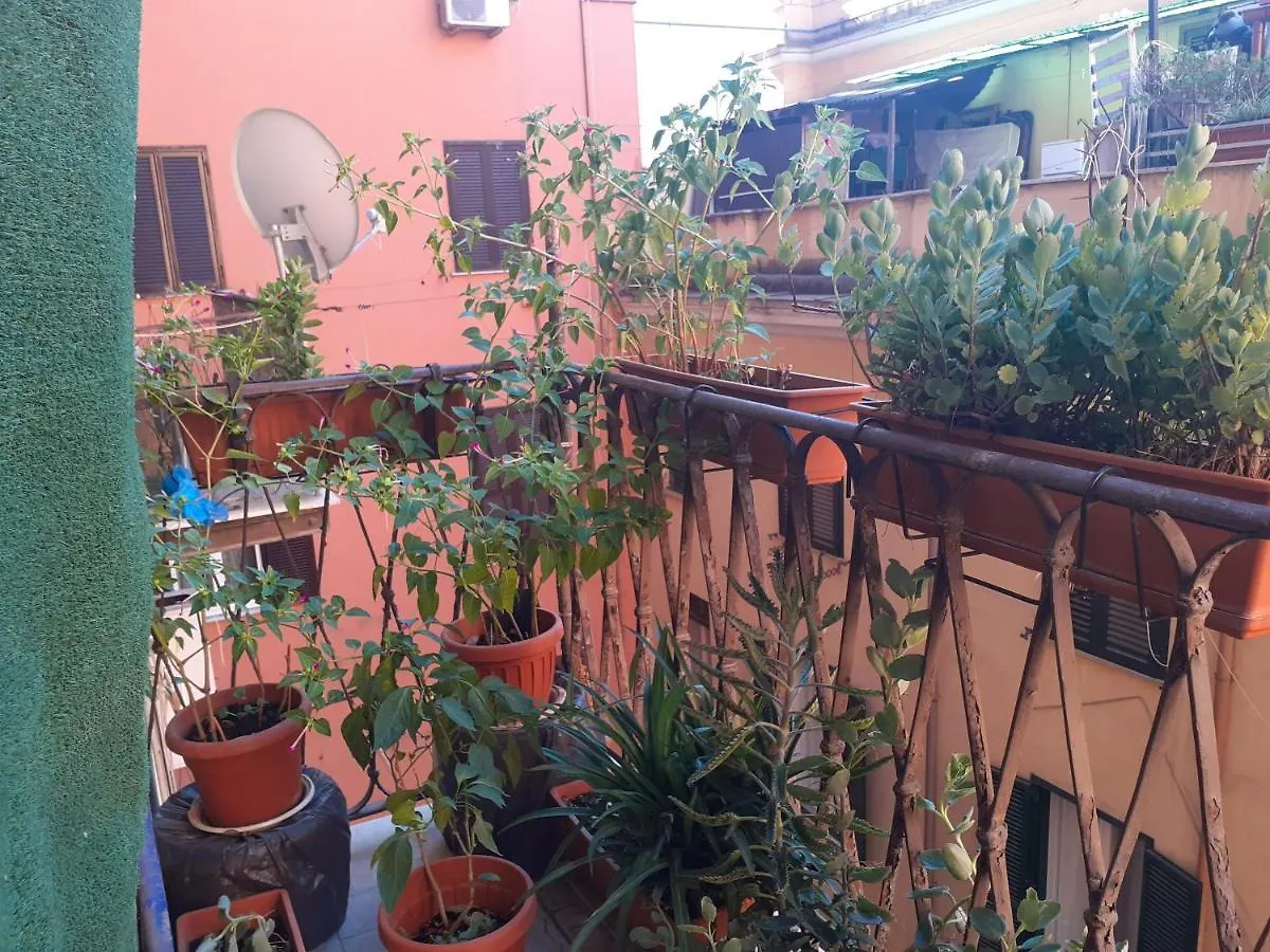 Napoleone Luxury Home Roma Guest house