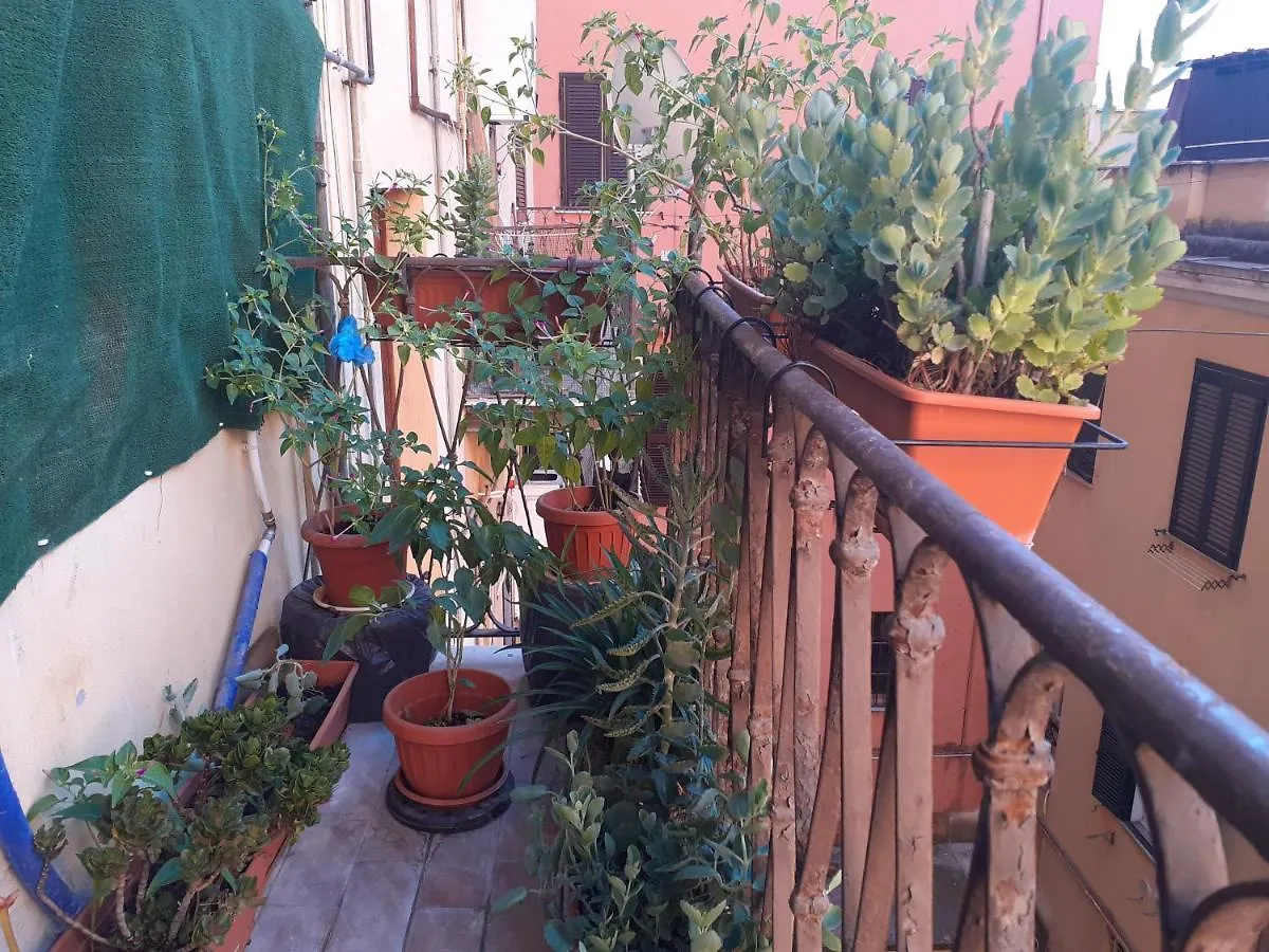 Napoleone Luxury Home Roma Guest house Rome